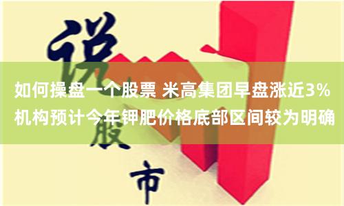 如何操盘一个股票 米高集团早盘涨近3% 机构预计今年钾肥价格底部区间较为明确