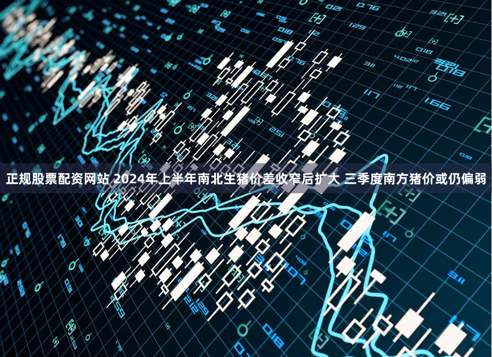 正规股票配资网站 2024年上半年南北生猪价差收窄后扩大 三季度南方猪价或仍偏弱