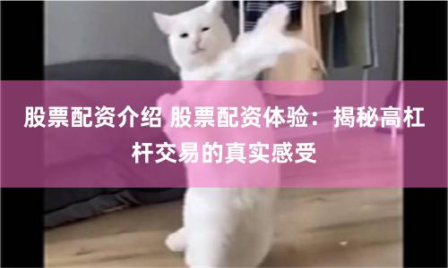 股票配资介绍 股票配资体验：揭秘高杠杆交易的真实感受