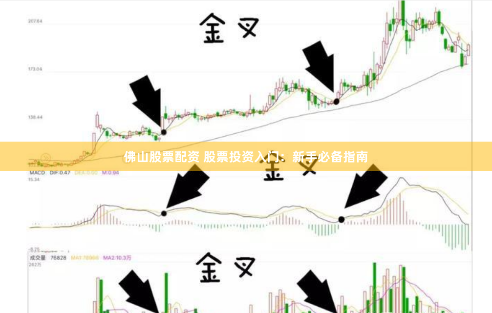 佛山股票配资 股票投资入门：新手必备指南